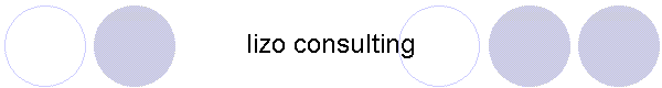 lizo consulting